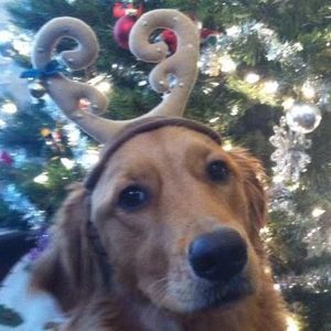 Meet your Posher, Diane